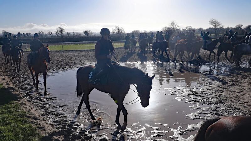There are doubts about whether amateur riders such as Mullins’s son Patrick are allowed compete at Cheltenham this year. Photograph: PA