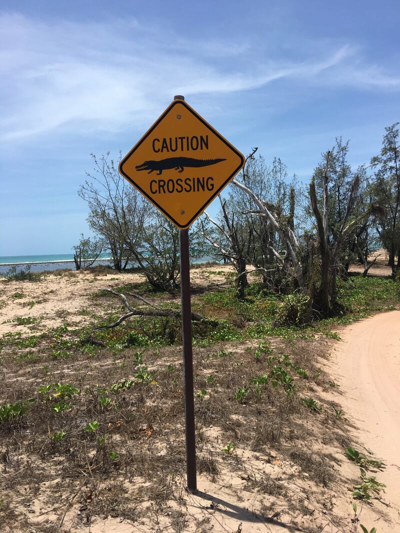 I am pretty sure the Northern Territory ratio of one crocodile for every two people is somewhat higher in Arnhem Land