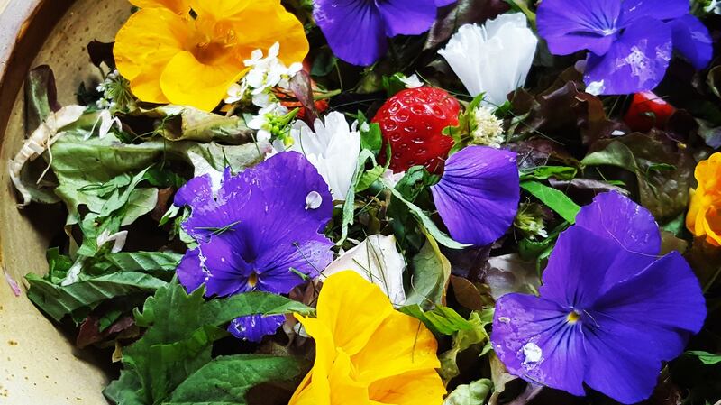 Orlaith Murphy picks petals as well as leaves for her salads.