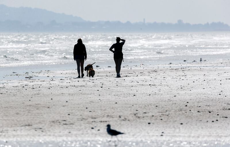 Dog walkers stroll in the sunshine on Portmarnock Beach. Photograph: Colin Keegan/Collins