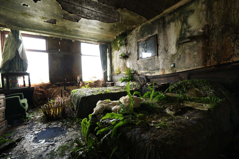 Nature reclaims an abandoned hotel room on the west coast of Ireland, six years after the hotel closed its doors. Photograph: Laura Hutton/The Irish Times