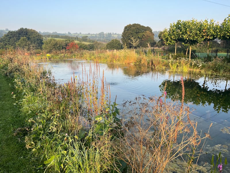 Dominic West and Catherine FitzGerald's natural swimming pool