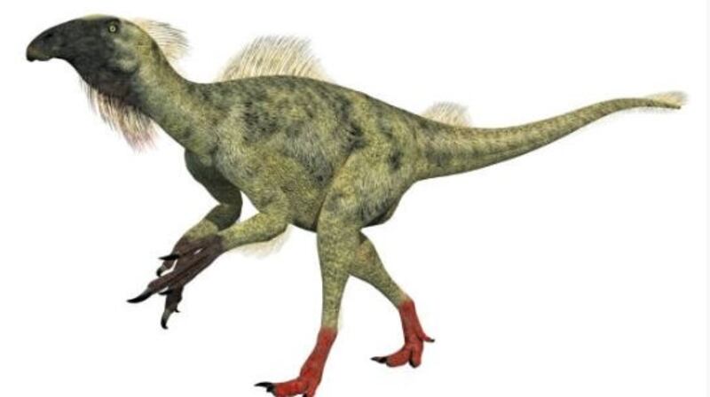 “The feathered dinosaurs studied – Microraptor, Beipiaosaurus [above] and Sinornithosaurus – clearly shed their skin in flakes, like the early bird Confuciusornis studied by the team, and also modern birds and mammals, and not as a single piece or several large pieces, as in many modern reptiles.” File illustration: Getty Images
