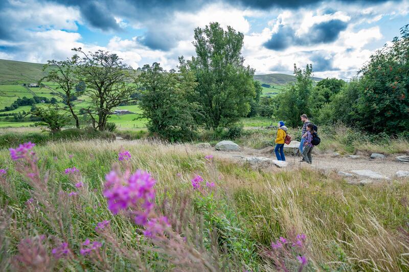 Tyrone's wonderful Sperrin mountains, home to the Sperrins Sculpture Trail, the OM Dark Sky Park and Observatory and plenty of wide, open spaces