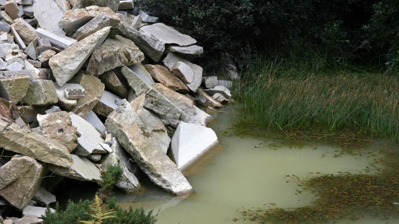 Detail from Sean Lynch’s Adventure: Capital. Photograph: courtesy of the artist and Kevin Kavanagh Gallery