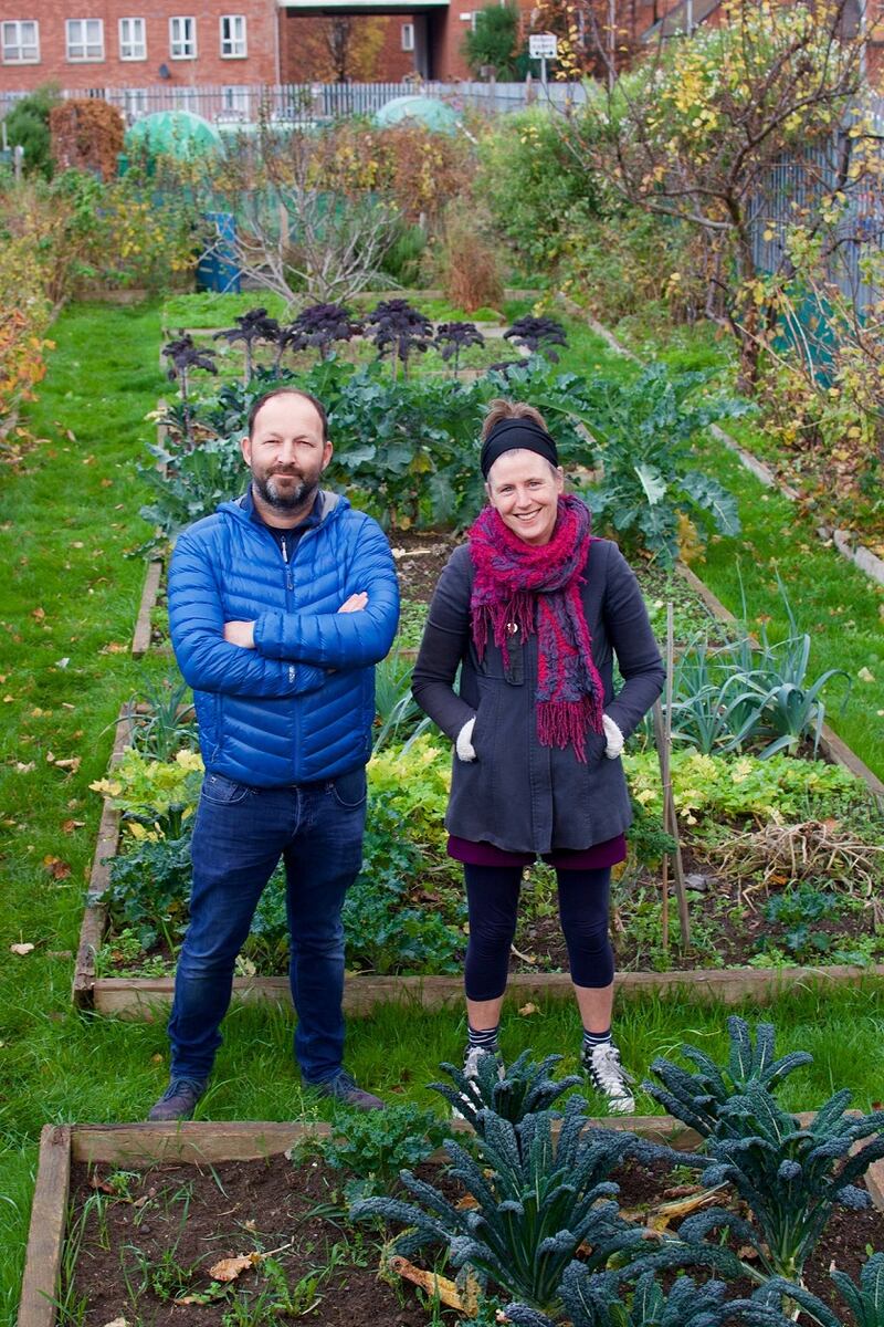 The Weaver Square community garden in Dublin 8 is set to be built on