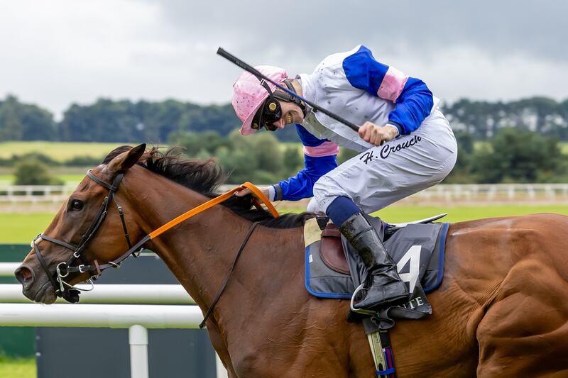Hector Crouch on You Got To Me celebrates winning. Photograph: Morgan Treacy/Inpho