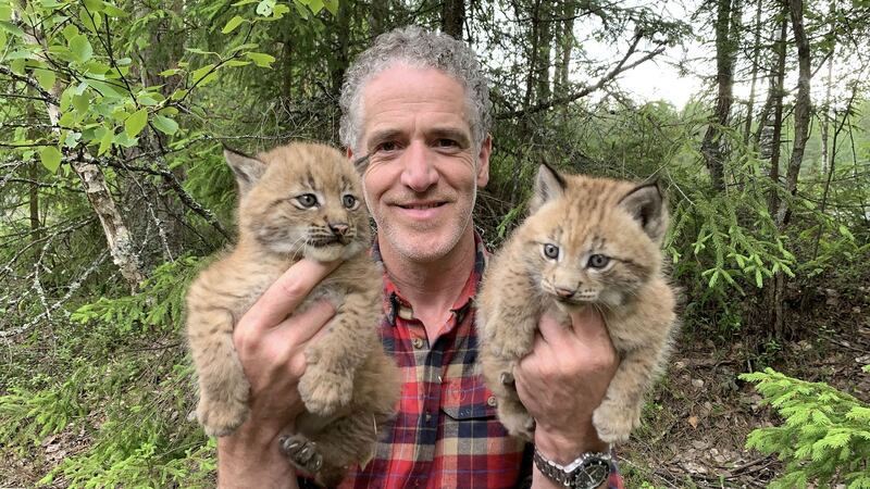 Gordon Buchanan in Snow Cats and Me