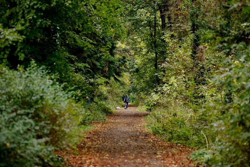 Residents voiced concern over the impact that a new car park would have on rich biodiversity at Castletown. Photograph: Alan Betson
