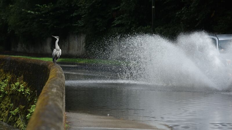 Heavy downpours this afternoon have resulted in flooding in the city, this on the Dodder Park Road. Photograph: Nick Bradshaw/The Irish Times