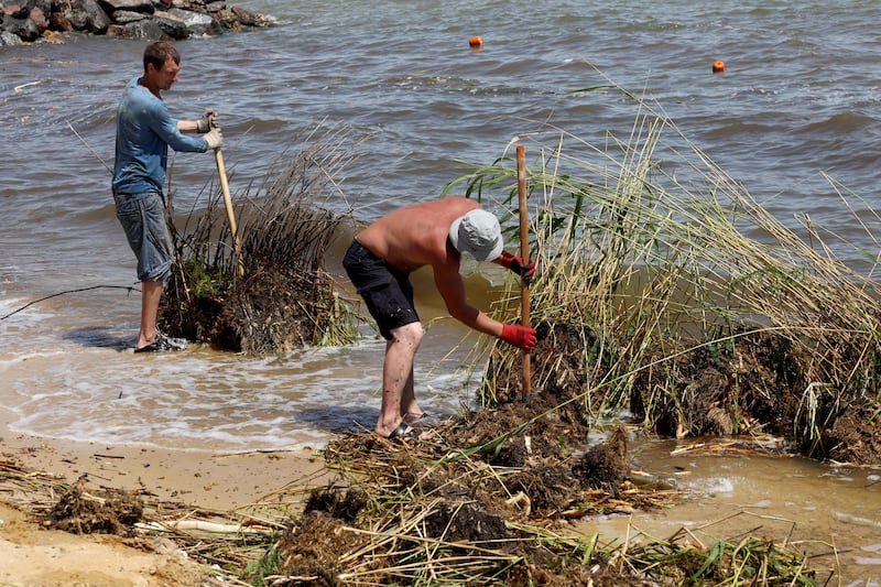Municipal workers clean up bushes, debris and garbage carried by the floodwaters to the Odesa beaches. Photograph: Oleksandr Gimanov/AFP via Getty