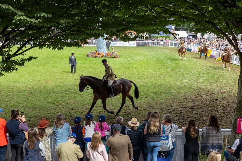 Ring 1, middle-weight hunter class, during the Dublin Horse Show at the  RDS. Photograph: Tom Honan for The Irish Times.