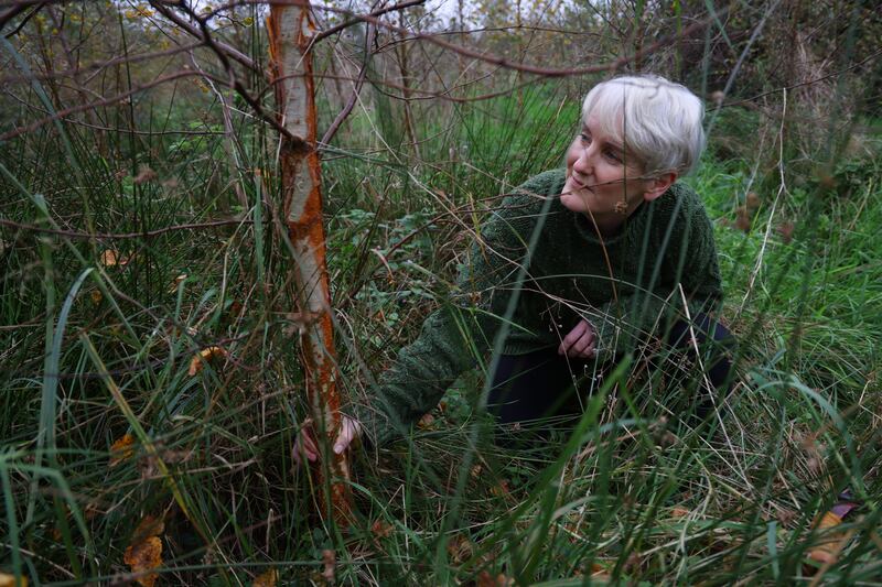 Catherine Cleary in the forest that she and her family are growing in rural Roscommon. Photograph: Bryan O’Brien