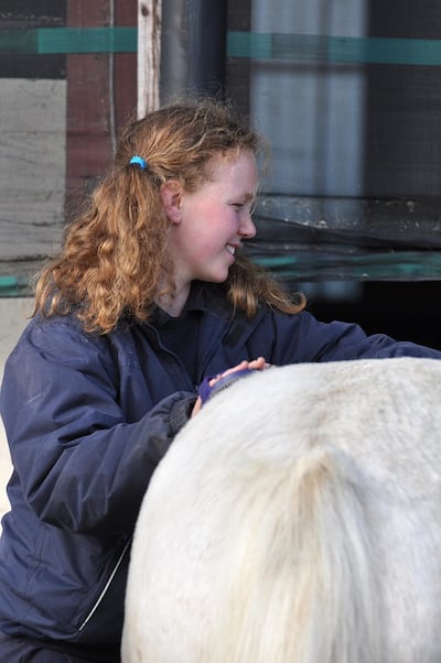 Una Hogan grooming Danny as part of the Supported Helpers Programme.