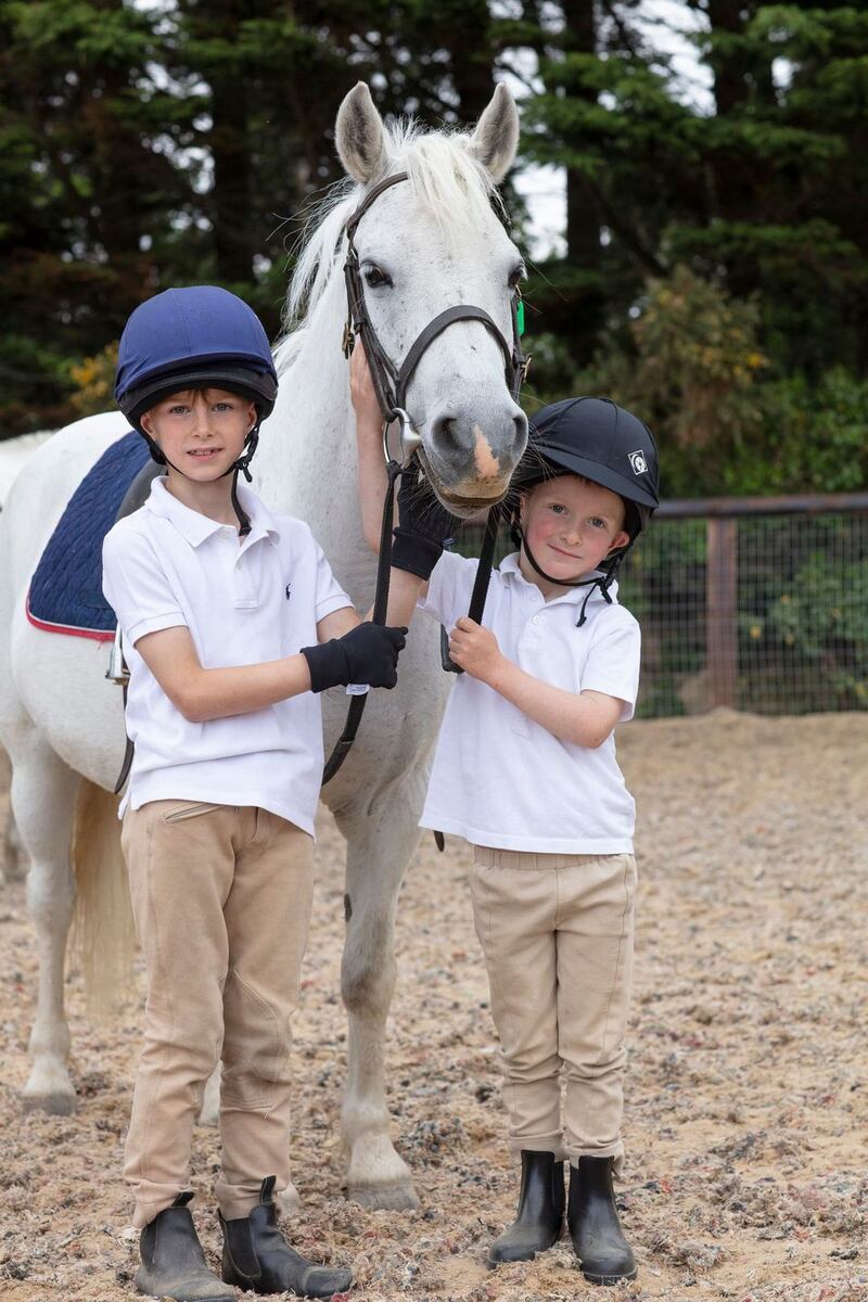 Passionate about ponies? Check out Carrickmines Equestrian Centre