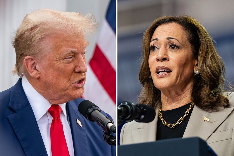 Former US president Donald Trump, the Republican presidential nominee, and vice president Kamala Harris, who has been chosen by the Democrats. Photograph: New York Times
                      