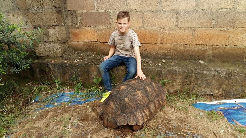 Evan (11) with one of the giant tortoises that lives on our compound.