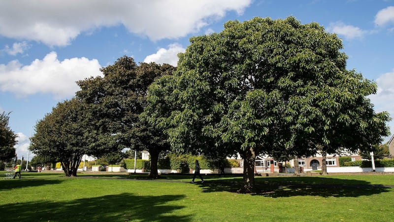 Churchtown in Dublin 14 is blessed with numerous leafy, inviting green spaces. Photograph: Damien Eagers