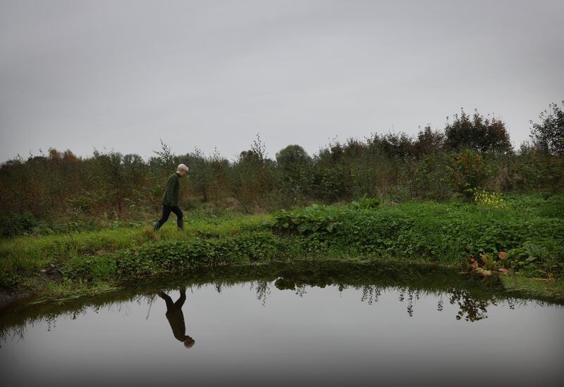 Catherine Cleary in the forest that she and her family are growing in rural Roscommon. Photograph: Bryan O’Brien