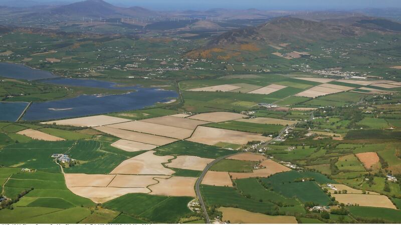 Most parts of the Grianán Estate overlook Lough Swilly which is famous for its wildlife including dolphins, porpoise, sea birds, geese and swans