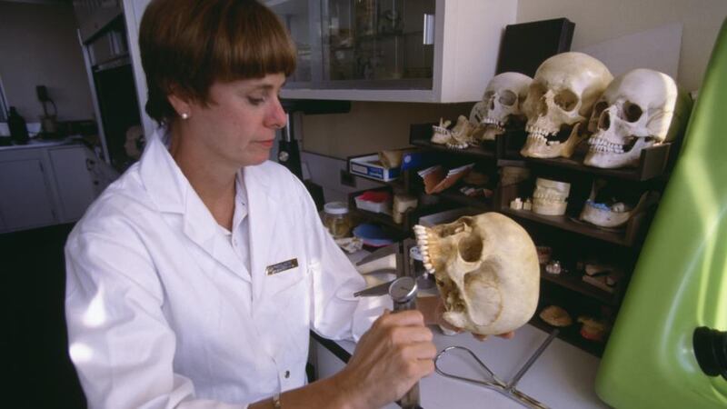Day job: Kathy Reichs was a forensic anthropologist before she was a crime writer. Photograph: Christopher J Morris/Corbis via Getty