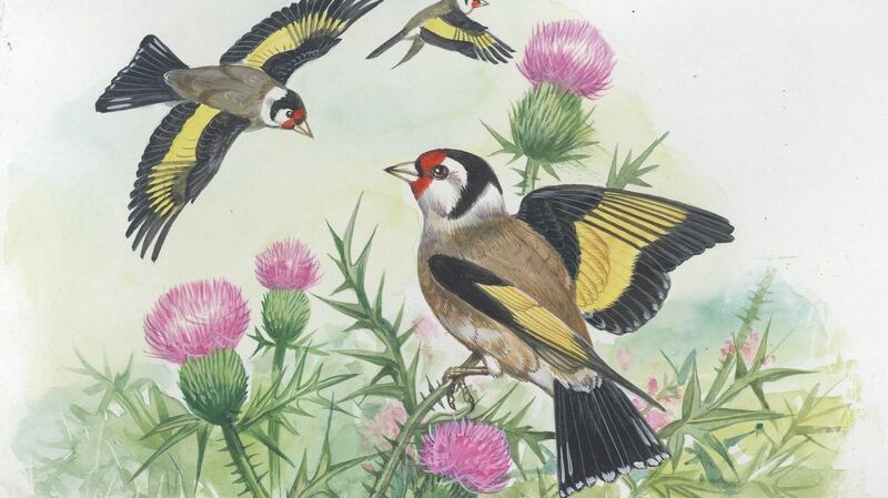 Goldfinches