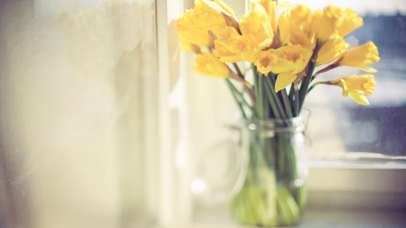 Giving yellow flowers in Russia is considered to be a relationship curse because they symbolise infidelity