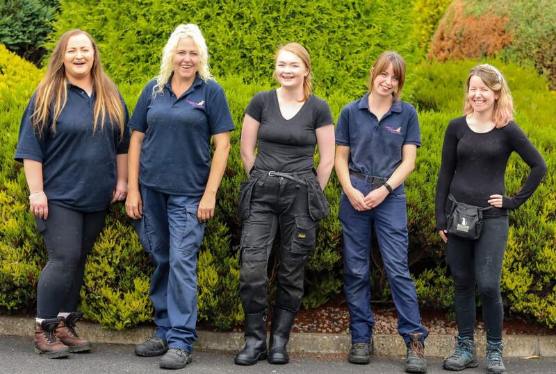 Dublin County Dog Shelter staff (from left), Emily Nash, Lindsey Fitzpatrick, Kim Farrell, Avryl Yeates and Sarah McCann. Photograph: Mark Pollack

 