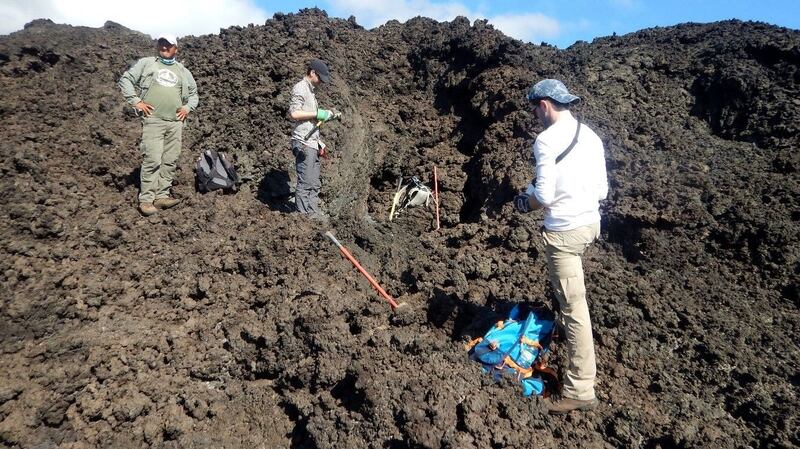 The research team collects samples from solidified lava flows on Wolf Volcano with assistance from a Galápagos National Park ranger. Photograph: Dr Benjamin Bernar