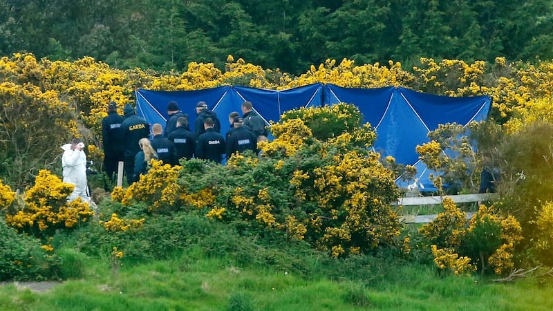 Gardaí believe Mark Hennessy drove to the area at Puck’s Castle, Rathmichael, south Dublin, and tried to conceal Jastine Valdez’s remains in thick gorse after killing her. Photograph: Stephen Collins/Collins Photos