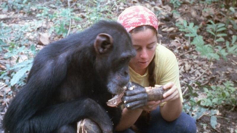 Lucy and Janis Carter in Lucy, the Human Chimp