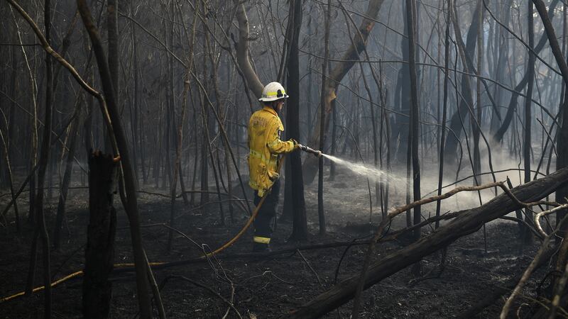 A firefighter works to extinguish smoldering ground after a fire passed through, in South Turramurra, near Sydney, New South Wales. Photograph: EPA/Photograph: EPA//DAN HIMBRECHTS