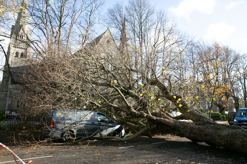 A fallen tree blocks Leeson Park Road in Ranelagh, Dublin. Photograph: Gareth Chaney/Collins
