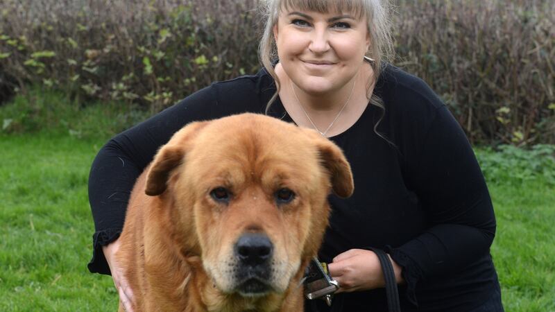Corina Fitzsimons, Dogs Trust: ‘Puppies need to develop coping mechanisms and they need to get used to being on their own.’ Photograph: Dara MacDonaill