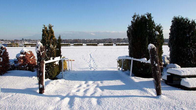 In 2010, heavy snow in the days before Christmas caused the rescheduling of the Leopardstown Festival. Photograph: Donall Farmer/Inpho