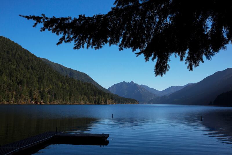 Lake Crescent in Olympic National Park is one of the park’s many glacial lakes. Photograph: Ruth Fremson/The New York Times
                      