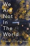 We Are Not in the World