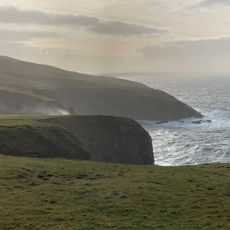 Photograph: Michael Guilfoyle