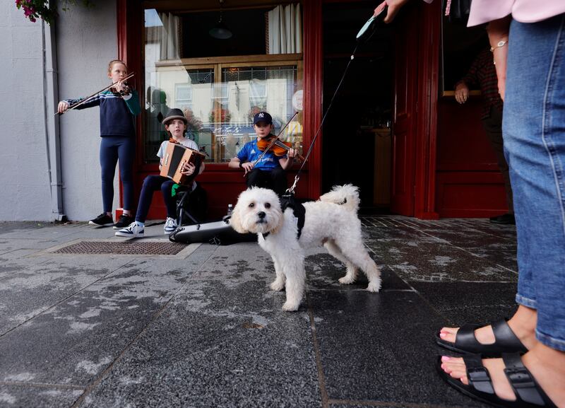 Benji the dog and his owner, Emma Soden, watching Emily Doherty, Sam McPhillips and Fionn McPhillips from Athboy, Co Meath performing on the first day of Fleadh Cheoil na hÉireann in Mullingar. Photograph: Alan Betson
