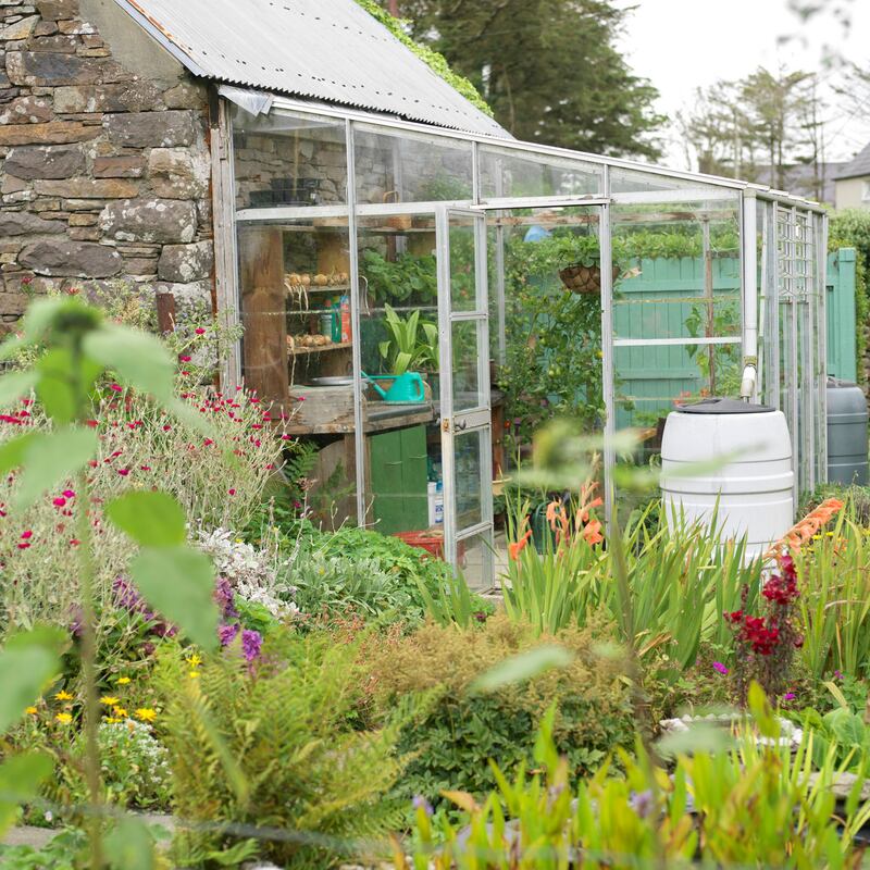 Photograph: Richard Johnston