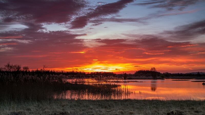 Bogs need millennia  to produce deep peat and unfold their full diversity of plant and animal life. Photograph: Getty Images