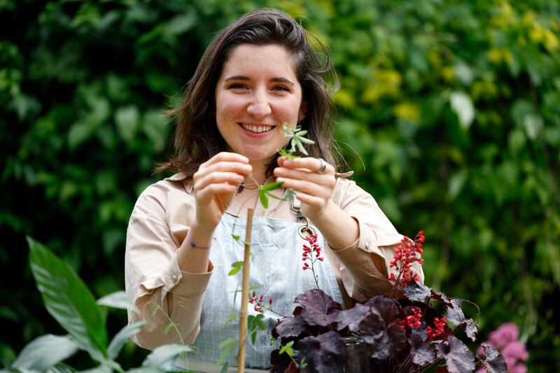 Interior designer Sofia Scatto first turned to plants after moving from the Tuscan countryside. Photograph: Nick Bradshaw