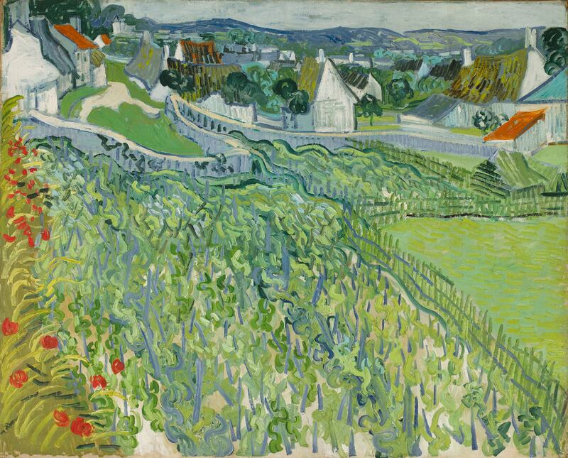Vincent van Gogh: Vineyards at Auvers-sur-Oise. Painted around June 12th, 1890. Photograph: Saint Louis Art Museum