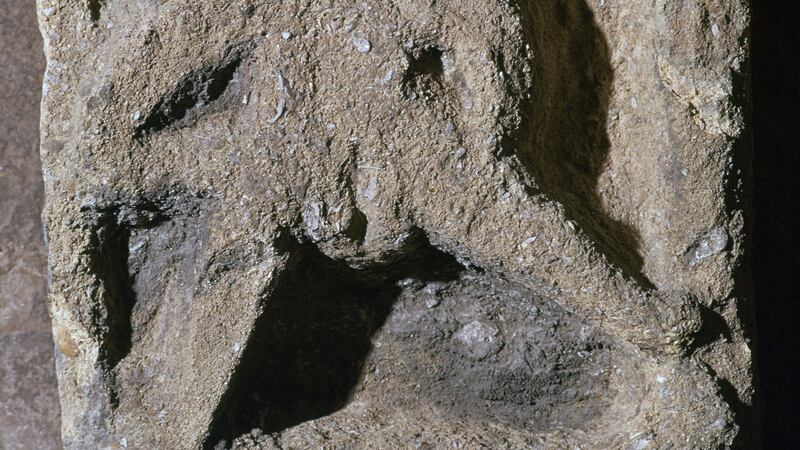 “I realised how marginalised sheela-na-gigs were from mainstream culture after Skin, Paper, Stone was published when one reader marvelled at my imaginative powers in inventing them. They were once such an important part of life in Ireland that they were literally part of the buildings.” Photograph:  CM Dixon/Print Collector/Getty Images