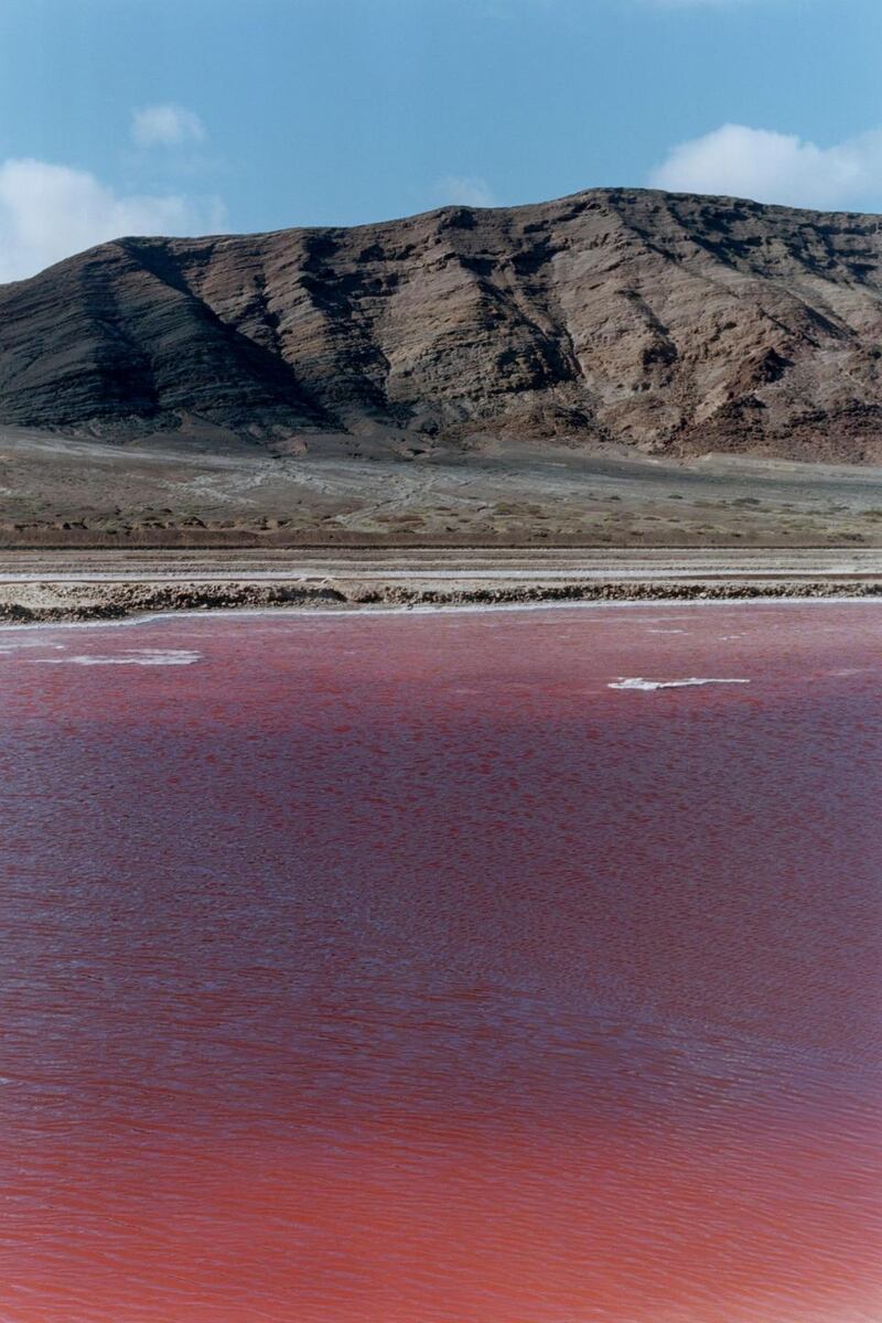 Wolfgang Tillmans, Red lake, 2002, © Wolfgang Tillmans, courtesy Maureen Paley, London.
