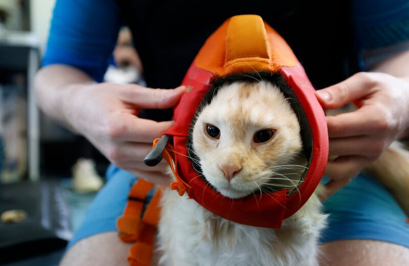 Billy gets into his swimming aid