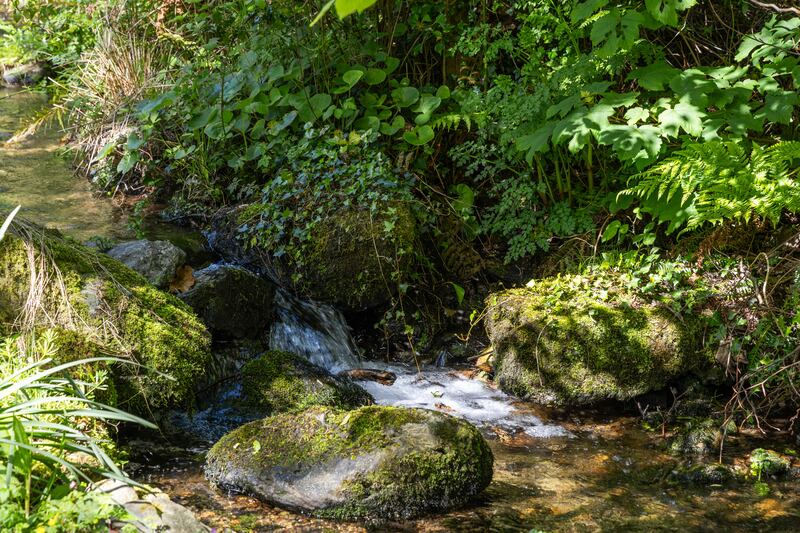 A stream meanders through the 2.4 acres of gardens