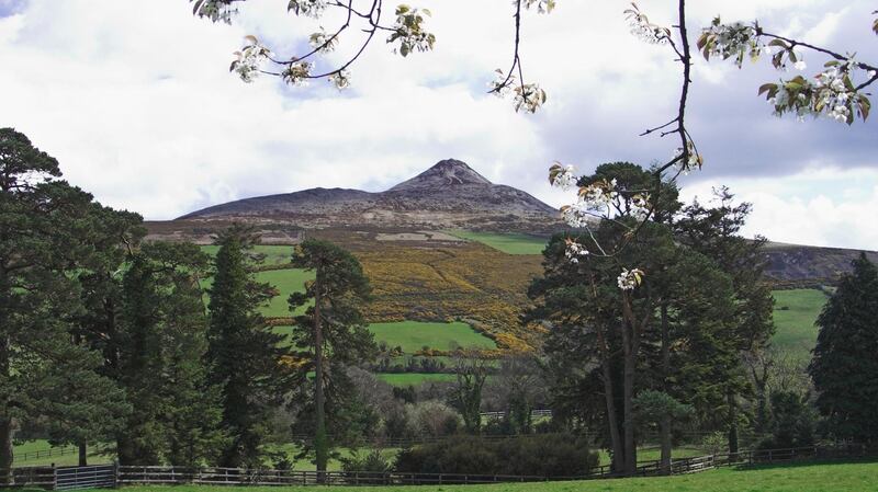 Ballinteskin Stud is situated close to Roundwood and Enniskerry, Co Wicklow, with views of the Sugar Loaf in the distance.
