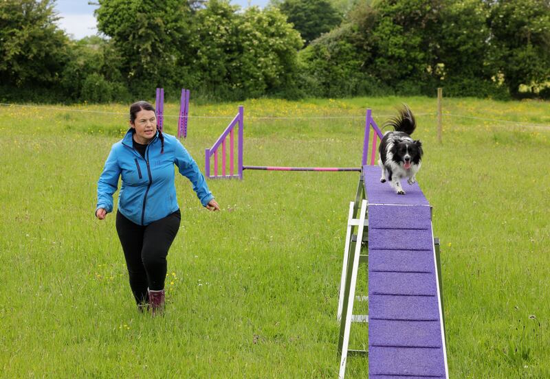 Siobhan Owen with one of her three dogs Morgan on the Agility Course. Photograph: Alan Betson / The Irish Times


