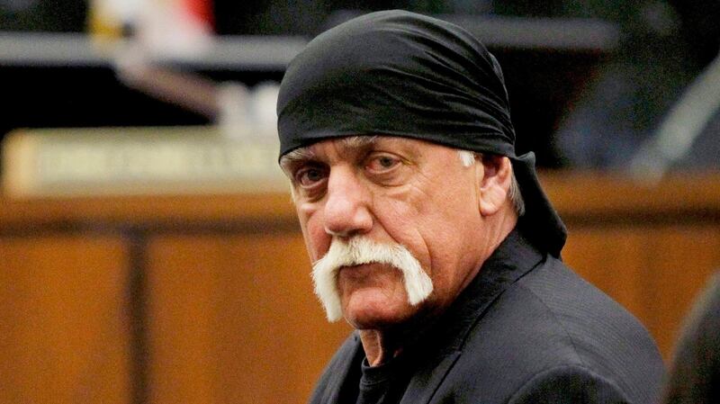 Terry Bollea, aka Hulk Hogan. Peter Thiel this week confirmed reports that he had secretly financed a successful lawsuit against Gawker to the tune of $10 million by Mr Bollea.